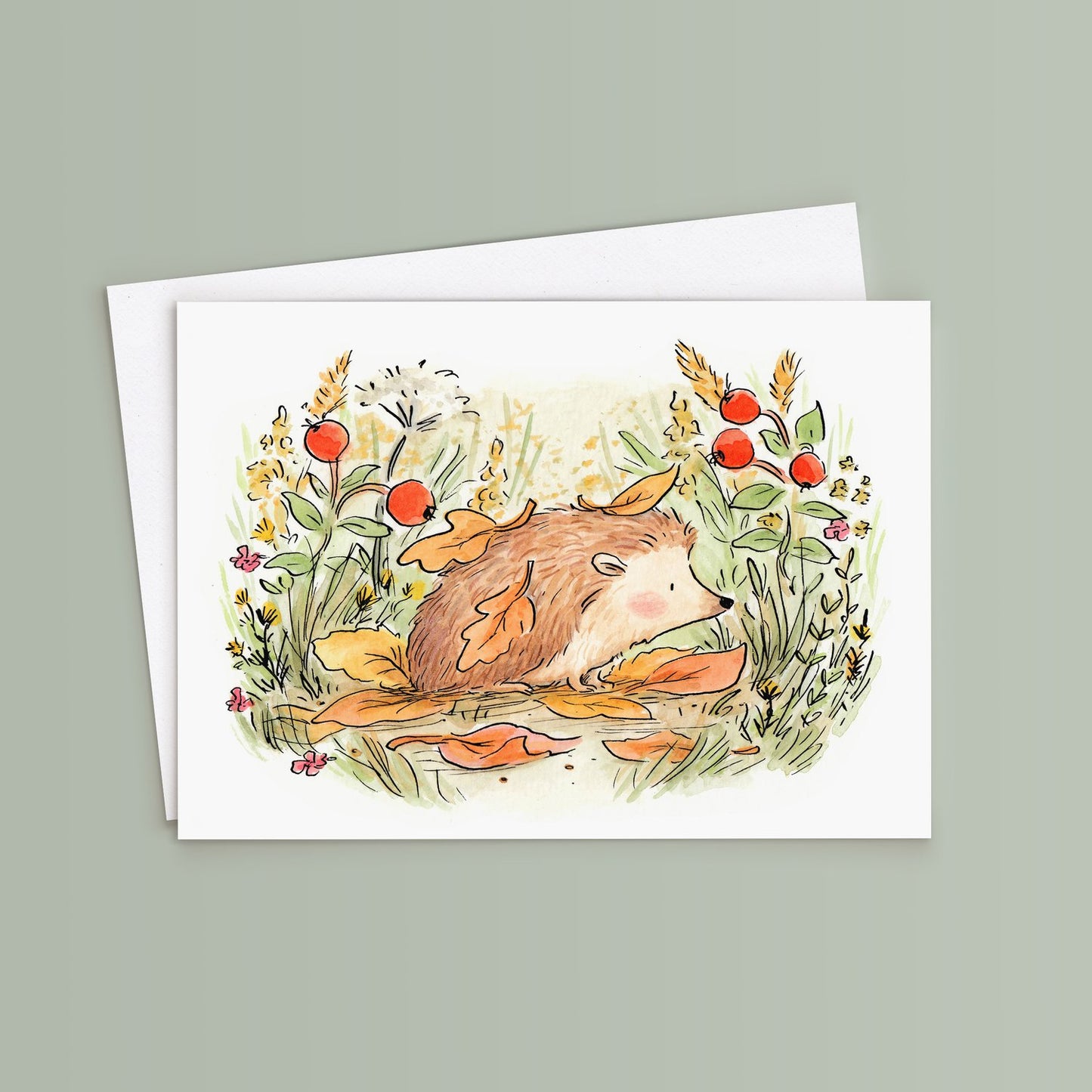Hedgehog